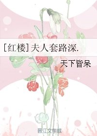 （紅樓同人）[紅樓]夫人套路深.